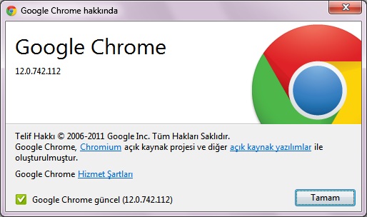 Google Chrome 12 Gأ¼ncelleme