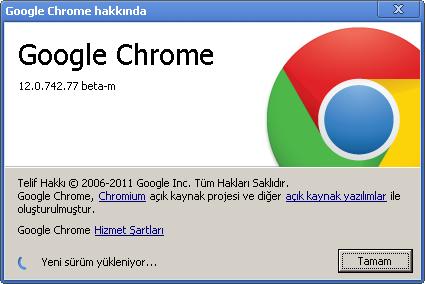 Google chrome 12.0.742.91