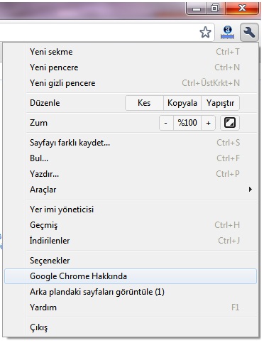 Google Chrome 10.0.648.205 Gأ¼ncelleme